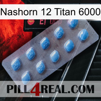 Rhino 12 Titanium 6000 viagra3